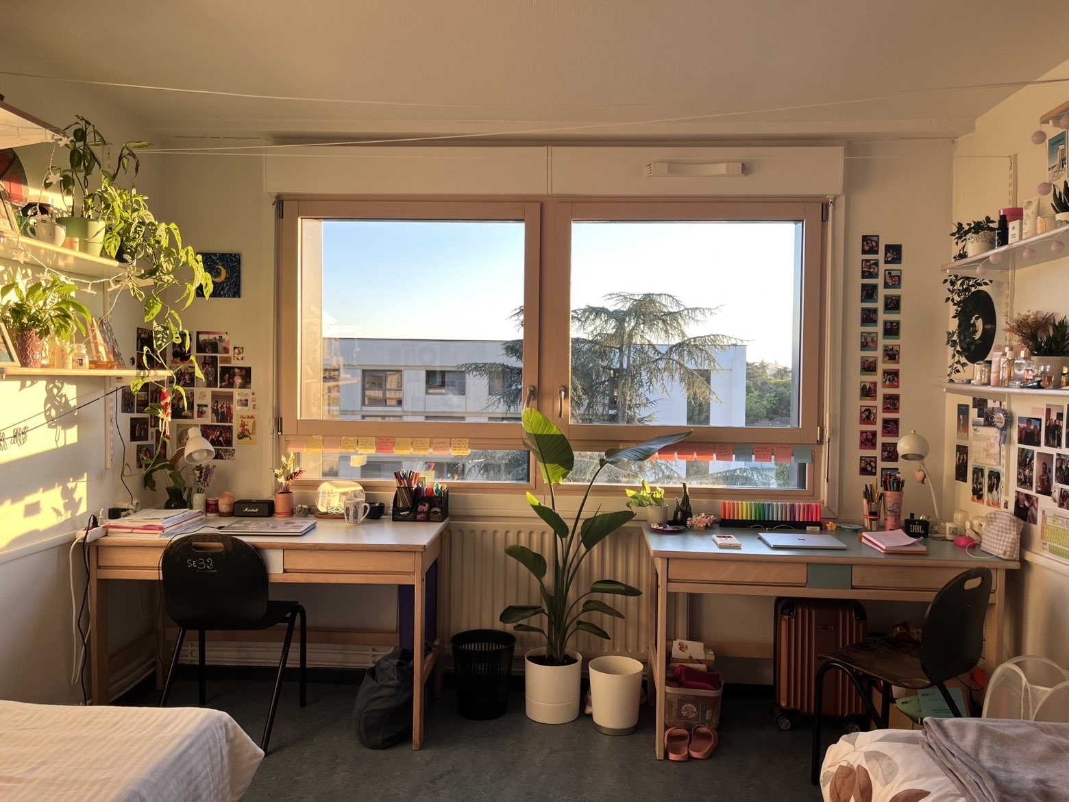 Chambre Marine & Laura — Photo 3 — turne INSA Lyon