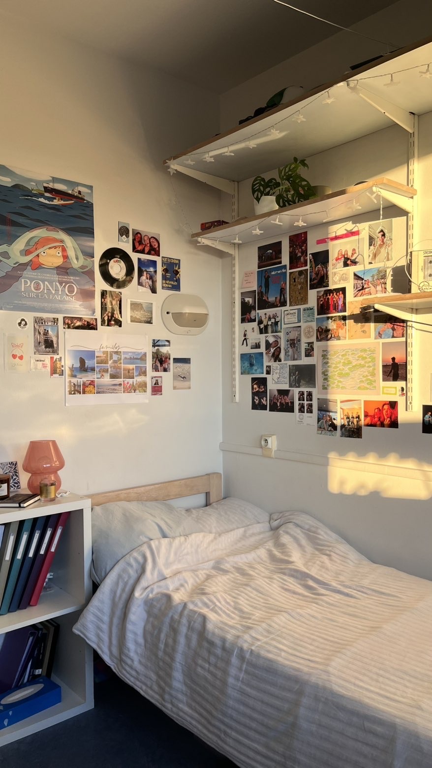 Chambre Marine & Laura — Photo 6 — turne INSA Lyon