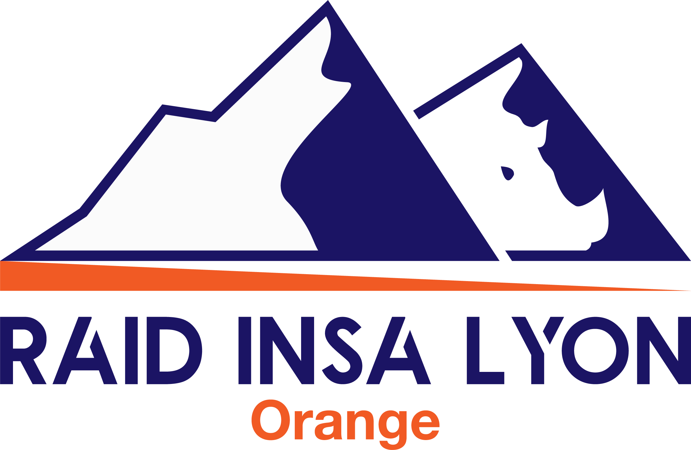 Raid
