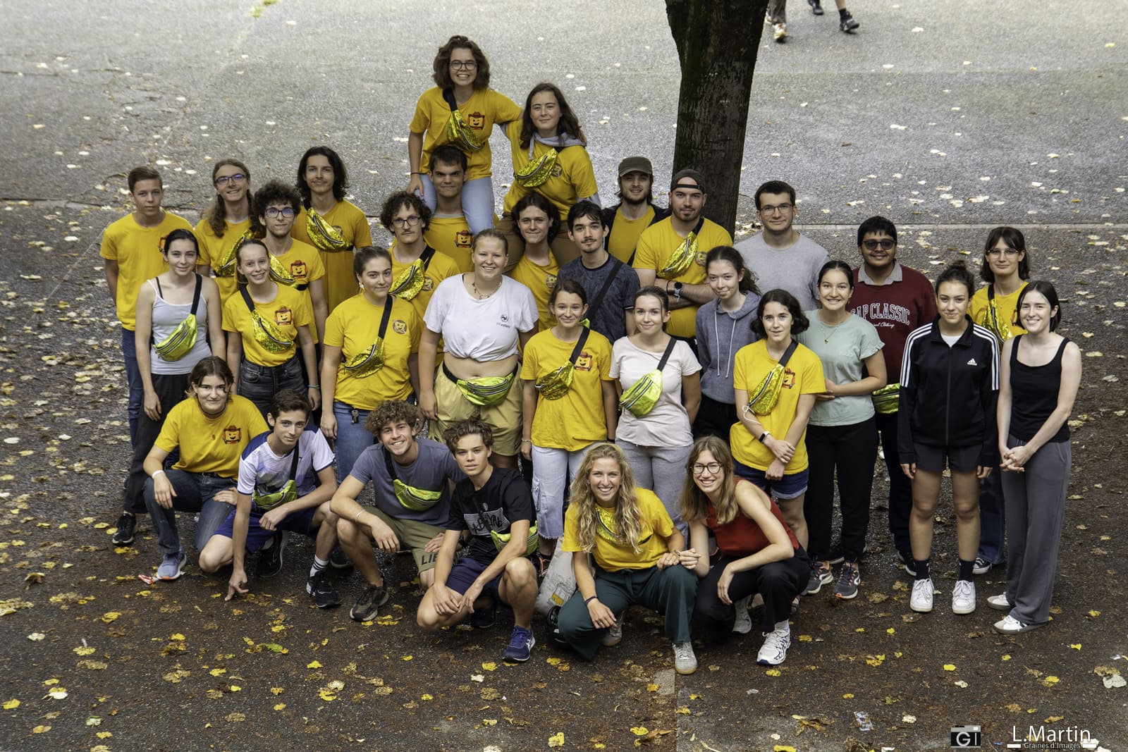 BNF — 2 / 2