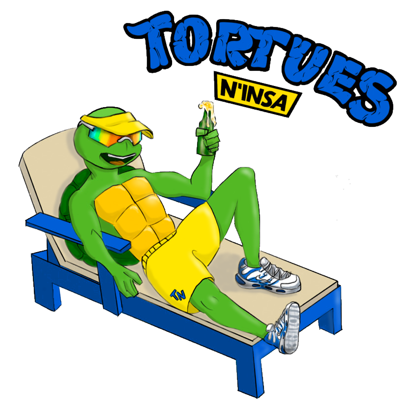TORTUES N'INSA — 1 / 2